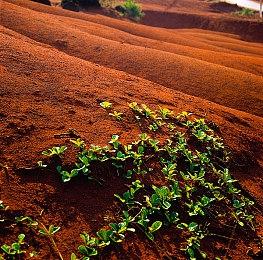 Bethesda悄然收购《塔国之地》开发商Nemesys